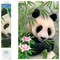 Diamond Dotz Panda Prince Diamond Painting Kits for Adults - Diamond Art Kits a Relaxing Creative Craft Kit with Dotz Gems 15.7x11.8